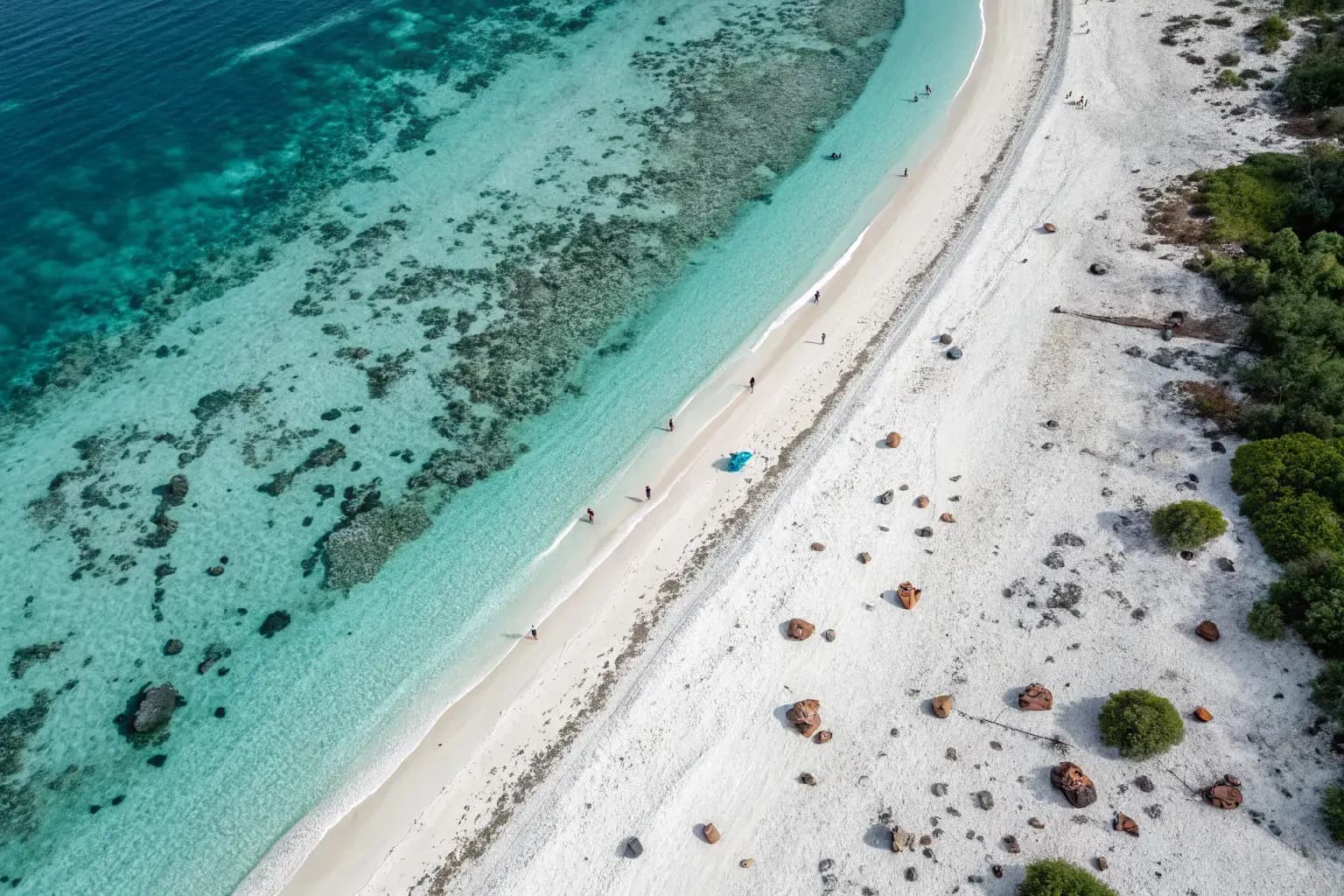 Aerial view of pristine turquoise ocean coastline with white sand — representing the marine ecosystems threatened by microplastic pollution from conventional food packaging