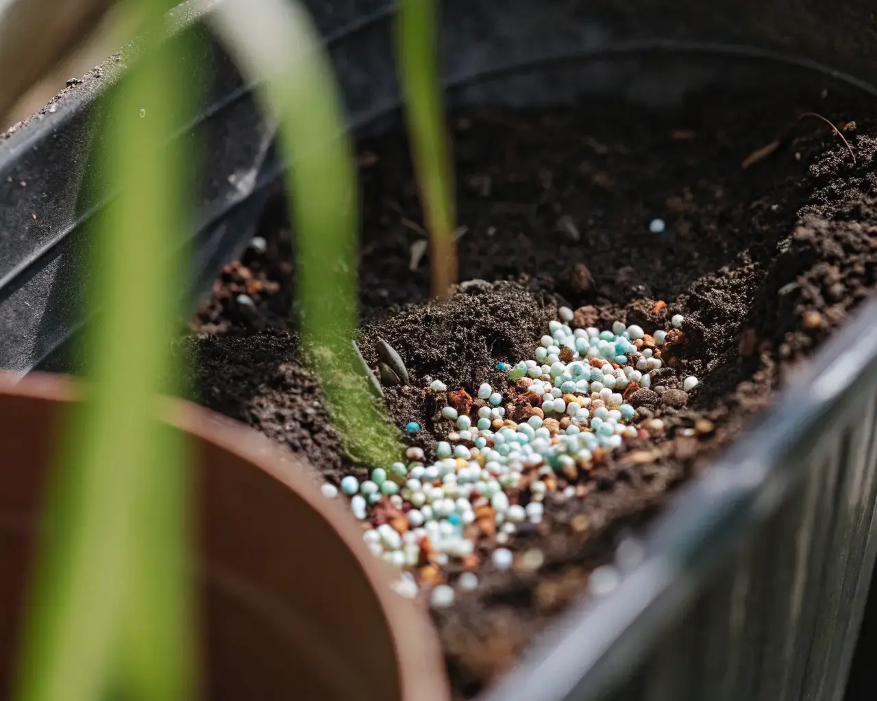 Microplastic pellets and beads contaminating garden soil and plant roots — plastic pollution entering terrestrial ecosystems