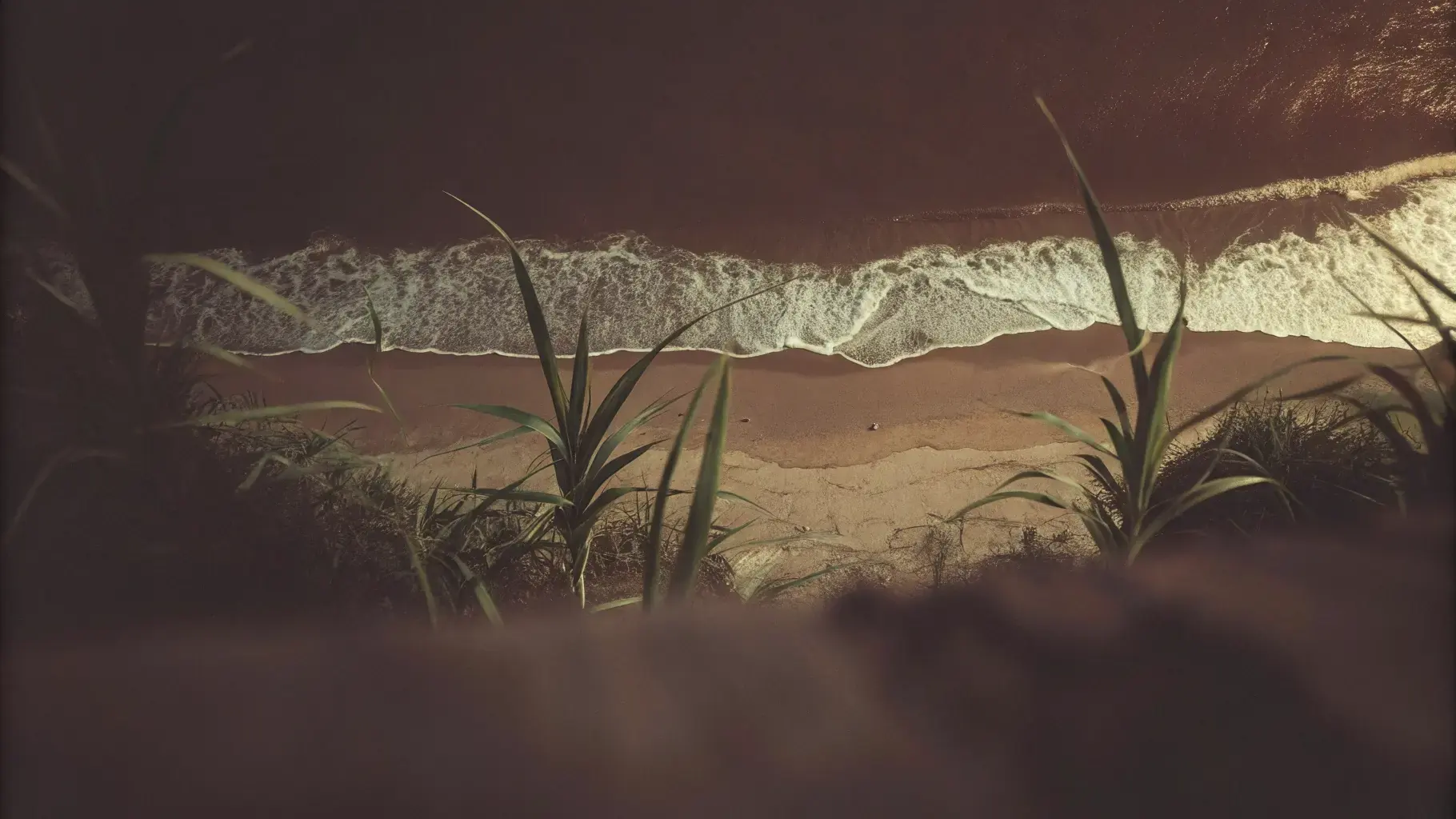 Clean ocean coastline — the future we are protecting with PHA biodegradable straws