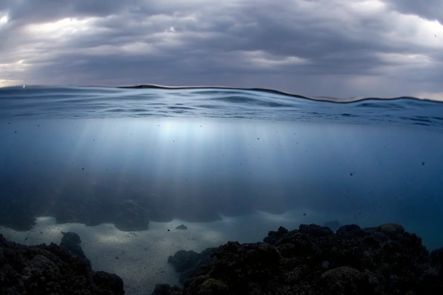 The depths of the ocean — a reminder of the natural world Pure Form Solution works to protect