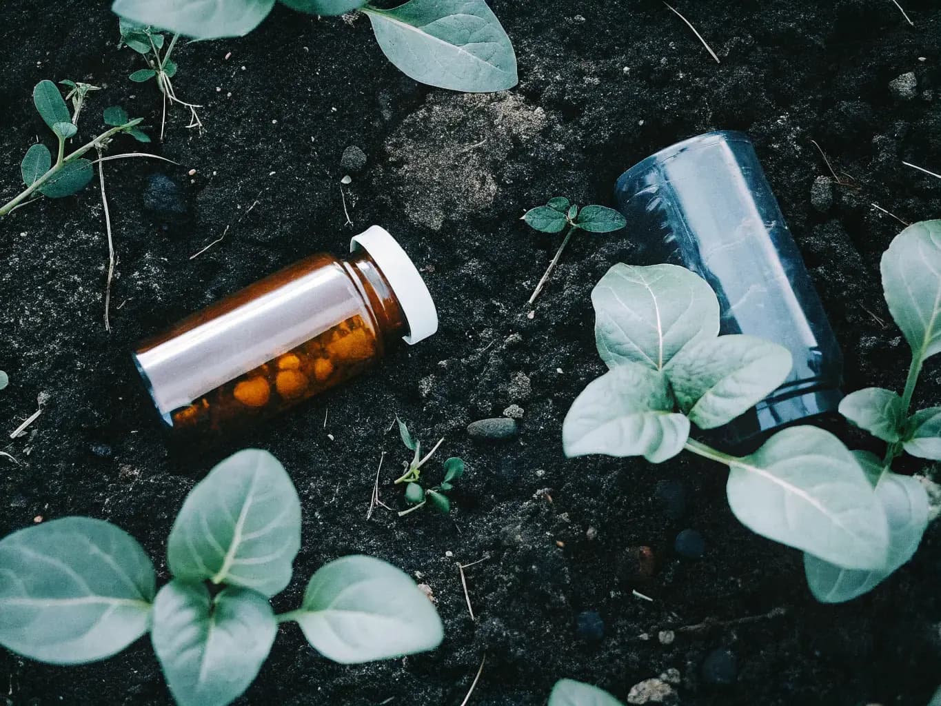Eco-friendly PHA biodegradable pill bottles surrounded by green botanical elements — 100% petroleum-free pharmaceutical packaging from Pure Form Solution