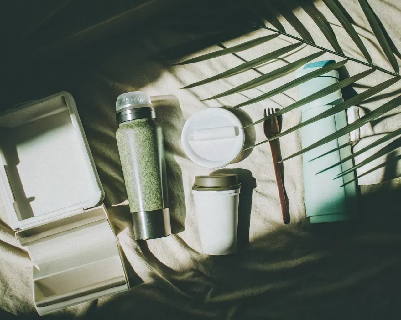 Flat lay of compostable packaging products — clamshell boxes, cups, straws, utensils, and bottles