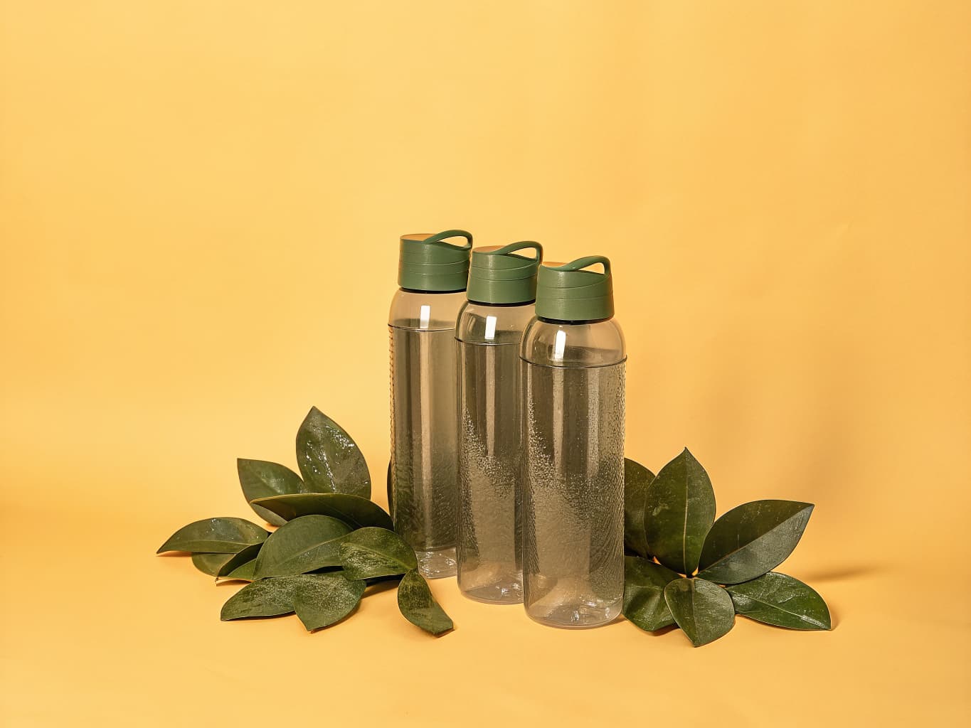 Custom co-branded plant-based water bottles on a modern counter